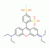 SULFORHODAMINE B 5-ACID FLUORIDE, FOR FL UORESCENCE
