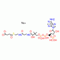 SUCCINYL COENZYME A SODIUM