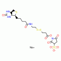 Sulfosuccinimidyl 3-[[2-(Biotinamido)ethyl] dithio]propionate