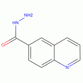 6-Quinolinecarbohydrazide , tech