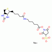 Sulfo-N-succinimidyl 6-(biotinamido) hexanoate, sodium salt