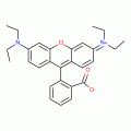 罗丹明B