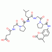 N-SUCCINYL-GLY-PRO-LEU-GLY-PRO 7-*AMIDO- 4-METHYLCOU
