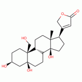 STROPHANTHIDOL(RG)
