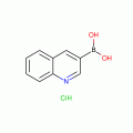 Quinoline-3-boronic acid hydrochloride 97%