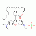 Rhodamine B octadecyl ester perchlorate
