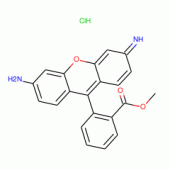 罗丹明123