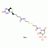 Sulfosuccinimidyl 3-[[2-(Biotinamido)ethyl] dithio]propionate