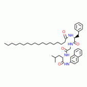 N-SUCCINYL-PHE-GLY-LEU B-NAPHTHYLAMIDE