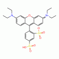 磺酰罗丹明B