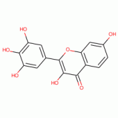 ROBINETIN(SH)