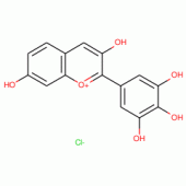 ROBINETINIDINCHLORIDE(SH)