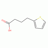 4-(2-噻嗯基)丁酸