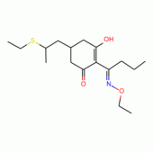 稀禾啶/乙草丁