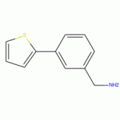(3-Thien-2-ylphenyl)methylamine , 97%