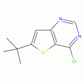 6-t-Butyl-4-chlorothieno[3,2-d]pyrimidine