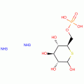 5-THIO-D-GLUCOSE 6-PHOSPHATE DIAMMONIUM