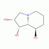 SWAINSONINE FROM METARRHIZIUM ANISOPLIAE
