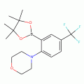 4-[2-(4,4,5,5-Tetramethyl-1,3,2-dioxaborolan-2-yl)-4-(trifluoromethyl)phenyl]morpholine , 97%