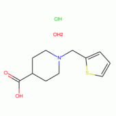 1-(Thien-2-ylmethyl)piperidine-4-carboxylic acid hydrochloridehydrate , 97%