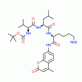 N-T-BOC-VAL-LEU-LYS 7-AMIDO-4-METHYLCOUM ARIN