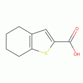 4,5,6,7-Tetrahydro-benzo[b]thiophene-2-carboxylic acid