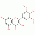 SYRINGETIN(SH)