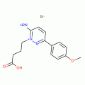 SR-95531 SPECIFIC GABA-A ANTAG