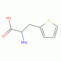 3-(2-THIENYL)-DL-ALANINE, 98+%