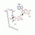STEAROYL COENZYME A (C18:0) LITHIUM