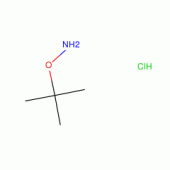 O-T-BUTYLHYDROXYLAMINE HYDROCHLORIDE