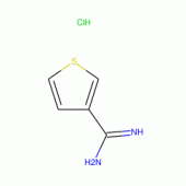3-Thiophenecarboximidamide hydrochloride, 95%
