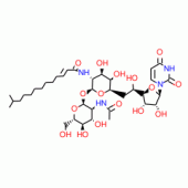 Tunicamycin from Streptomyces chartreusis