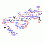THYROCALCITONIN RAT
