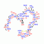 THYROCALCITONIN EEL