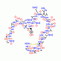 THYROCALCITONIN, CHICKEN