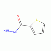 2-噻吩甲酰肼