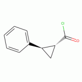 反式-2-苯基-1-环丙烷羰基
