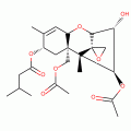 T-2-TOXIN VIAL WITH 5 MG*