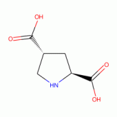 L-TRANS-PYRROLIDINE-2,4-DICARBOXYLIC*ACI D