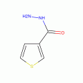3-Thiophenecarboxylic acid hydrazide