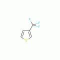3-(Trifluoromethyl)thiophene