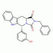 Trans - 24