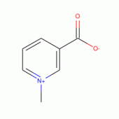 TRIGONELLINE(RG)