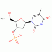 THYMIDINE 3-MONOPHOSPHATE SODIUM