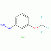 3-三氟甲氧基-苯肼盐酸盐
