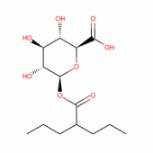 Valproic Acid β-D-Glucuronide
