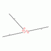 TRINERVONIN (C24:1,-CIS-15)