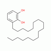 URUSHIOLII(3-HEPTADECYLCATECHOL)(P)