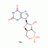 XANTHOSINE-3',5'-CYCLIC MONOPHOSPHATE